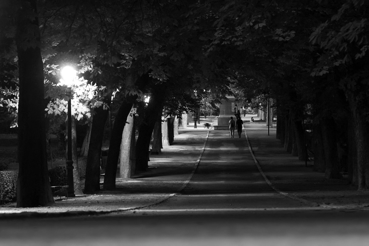 Paseos nocturnos por El Retiro. Street Photography